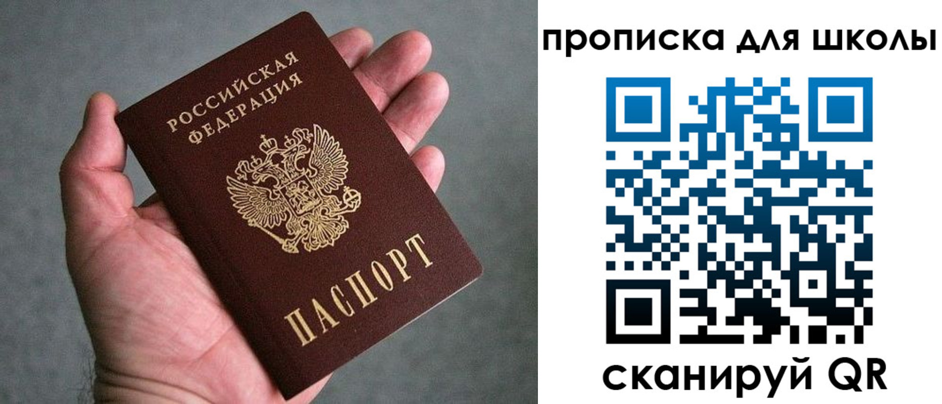 прописка для школы в Новошахтинске
